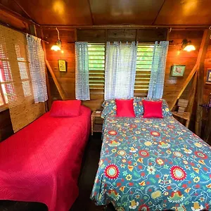 Judy House And Hostel Negril