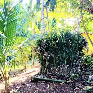 La Familia And Natural Farm Port Antonio